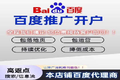 网络推广秘籍：竞价排名成功案例集锦